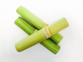 Sugar cane  saccharum sinense on  white background.