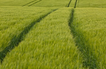 Wiesen Jagd Natur Landschaft Landwirtschaft nachhaltig Biosph&auml;re Fr&uuml;hling Sommer gr&uuml;n gr&uuml;ne Wiesen