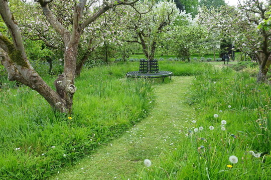 Scenic view of a garden with an apple orchard and grass lawn