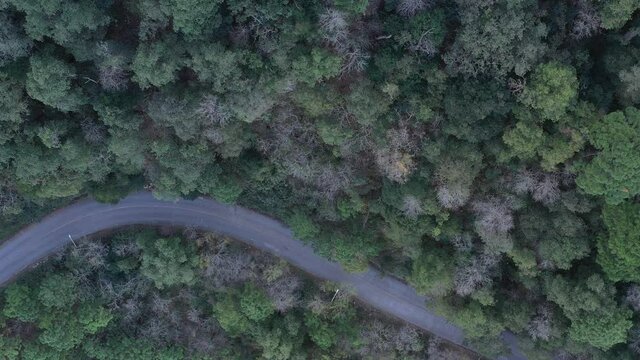 Parque Ecol&oacute;gico Chipinque, San Pedro Garza Garc&iacute;a, Monterrey, Nuevo Le&oacute;n. M&eacute;xico