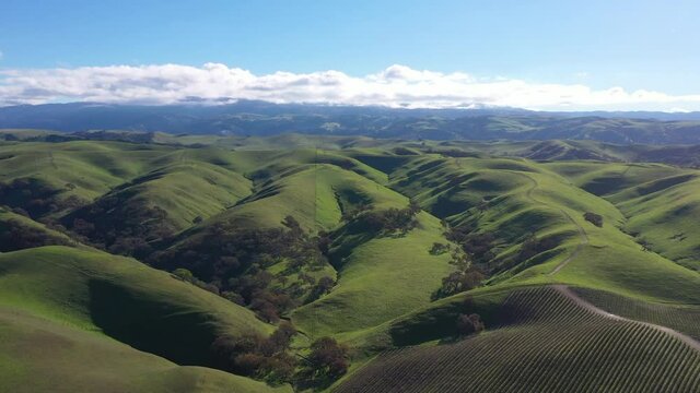 Green grass covers the rolling hills and valleys of the Tri-valley area of Northern California, just east of San Francisco Bay. This beautiful region is known for its many vineyards and open space.