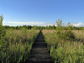 Biebrza National Park, Red Marsh, Poland