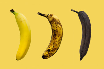Banana ripeness level, from fresh to rotten on yellow background