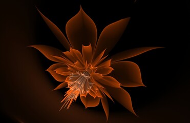 Naklejka na ściany i meble Dark fractal flower, digital artwork for creative graphic design...Fractal pattern in the shape of flowers on a black background.Abstract fractal background