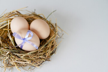 Naklejka na ściany i meble An Easter nest with natural egg decorated with violet ribbon, next to place for text.