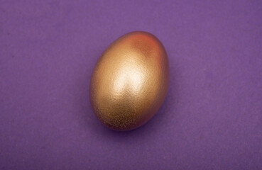 Closeup golden egg - concept of success and shiny future