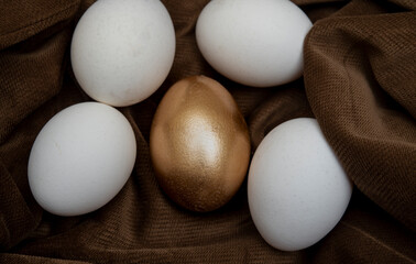 Golden egg among the normal white ones - concept of individual