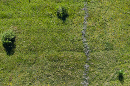 Vue en drone d'une prairie