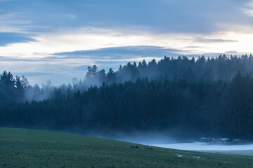 Nebel über dem Fichten Wald im Chiemgau mit Wolken am Abend