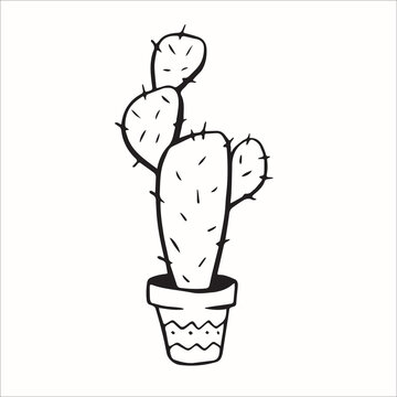 Cute hand drawn vector cactuse in the pot