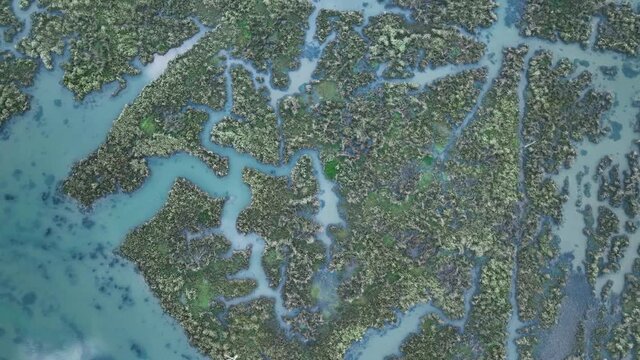 Aerial view of the marsh landscape in the Ria de Limpias. Marismas de Santo&ntilde;a, Victoria and Joyel Natural Park. Carasa, Cantabria, Spain, Europe