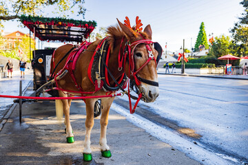 Close up of a mule in Christmas decoration at Decatur Street