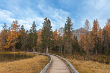 Fototapeta na wymiar Forest with autumnal colors crossed by a wooden walkway, Lake Antorno,Dolomites, Italy. Popular travel destination