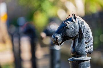 Fototapeta na wymiar Close up shot of a horse metal pole