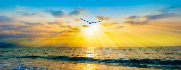 Bird Flying Beautiful Ocean Sunset Silhouette Inspiration Divine Spiritual Banner Header Image
