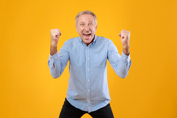 Portrait of excited mature man screaming with raised fists