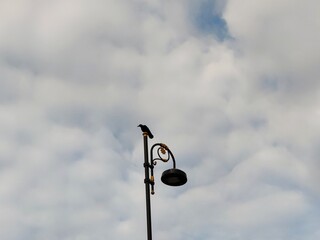lamp post on blue sky background