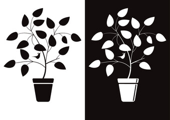 house plant  001 - black and white.ai