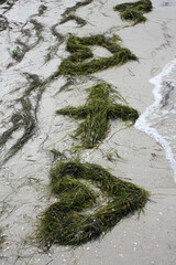 Two hearts, symbols of love, are depicted on the sand using seaweed. Declaration of love. Sea coast. Summer