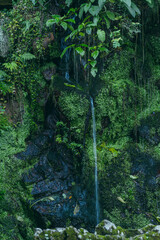 waterfall in the forest