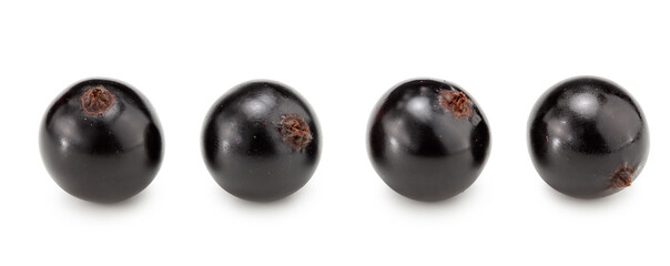 black currant isolated on white background. macro. clipping path