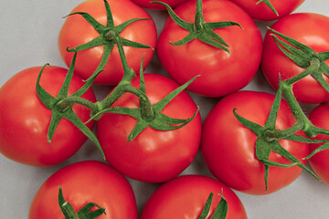 Tomates  maduros com os ramos verdes em fundo neutro.