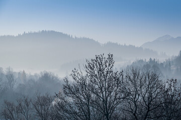 Fototapeta na wymiar morning fog