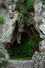 Fototapeta na wymiar old cave in the forest