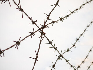 Fototapeta na wymiar silhouette of the barbed wire on white background.