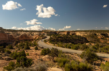 Road curving through desert