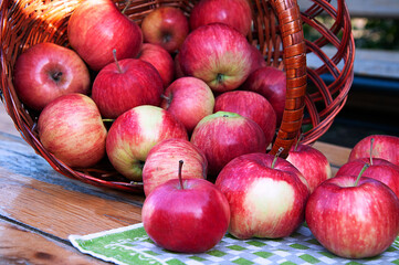 Apples are scattered from the basket onto a green napkin. . High quality photo
