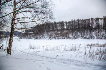 Winter snowy landscape