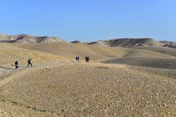 Fototapeta na wymiar Group of tourists hiking, travelers on a trail in an Israeli desert mountains. Backpackers tourists group walking hiking rocks desert path trail. Israel desert hills landscape at spring, green grass