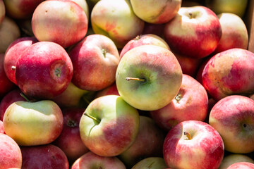Lots of red apples. Collection and sale of apples..Background or texture from apples. Red ripe apples. Close-up.