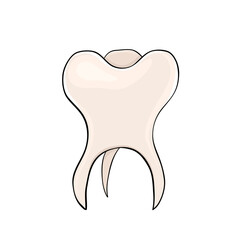 Human teeth in cartoon style for medical design