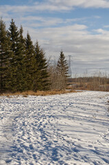 Pylypow Wetlands after a Snowfall