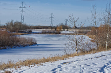 Pylypow Wetlands after a Snowfall