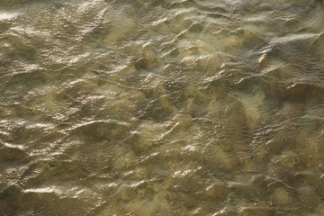 Waves on the surface of the turquoise tropical sea.