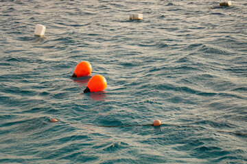 Orange buoys on the surface of the waving water.