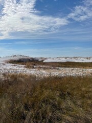 winter grass on white sand dunes