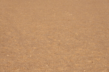 Sand in the sun in the desert as a backdrop.