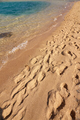 Traces on the sand of the tropical beach of the Red Sea.