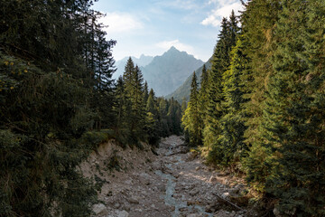Fototapeta na wymiar Beautiful landscape of a Rudavoi river and a forest in the funes valley with mountains Italian dolomites, Europe