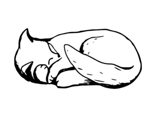 Cute sleeping cat. Fluffy kitty cat, outline vector illustration. Vintage hand drawn ink sketch.