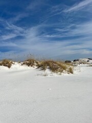 sand dunes in winter