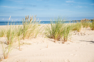 Fototapeta Plaża - beach obraz