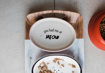 cats water bowl and food on a kitchen floor with slogan on plate