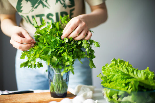 Anonymous Woman Chopping Parsley / Cilantro