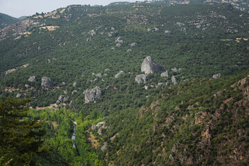 landscape in the mountains