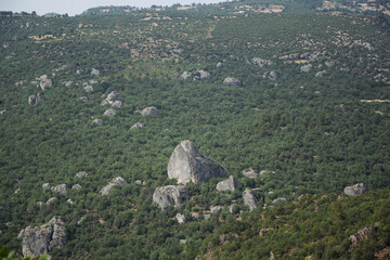 landscape in the mountains